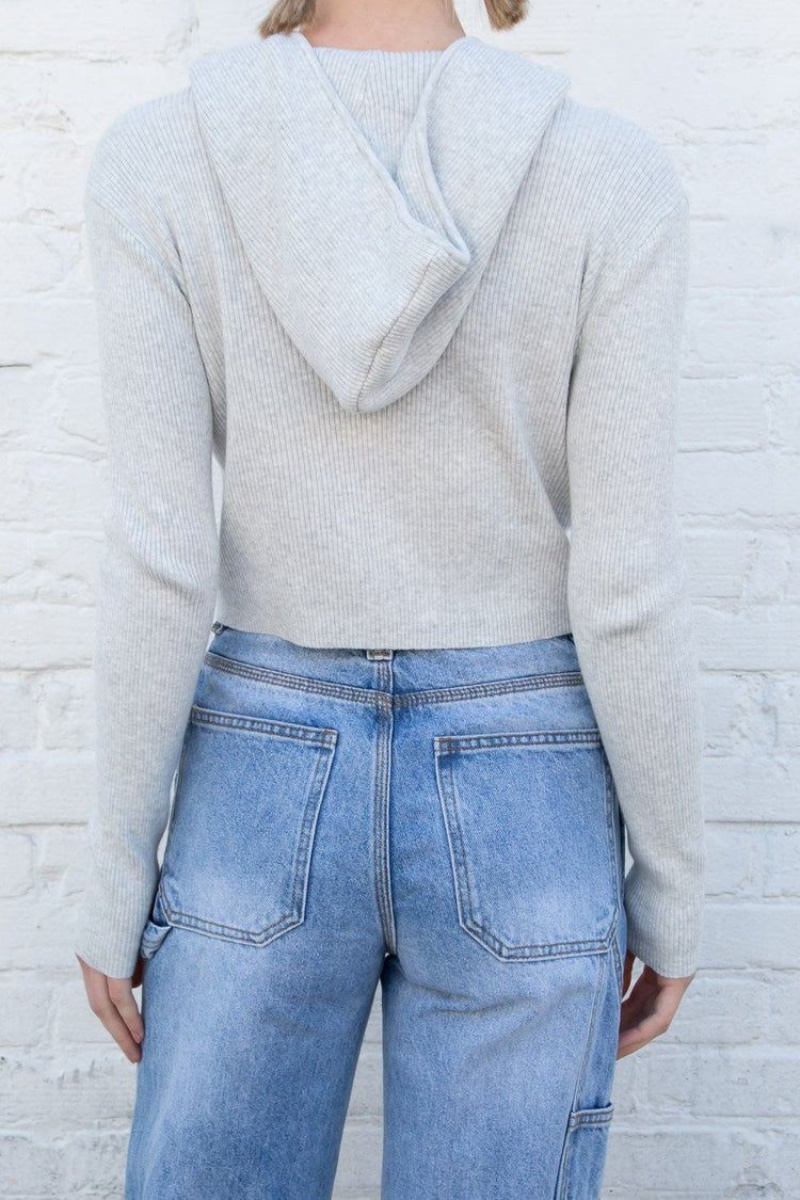 Sweat a Capuche Brandy Melville Arden Crop Grise Clair | IWZ-91393191